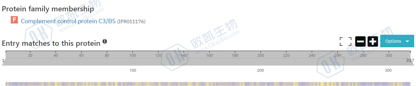 IEV and EEV Surface Membrane Proteins