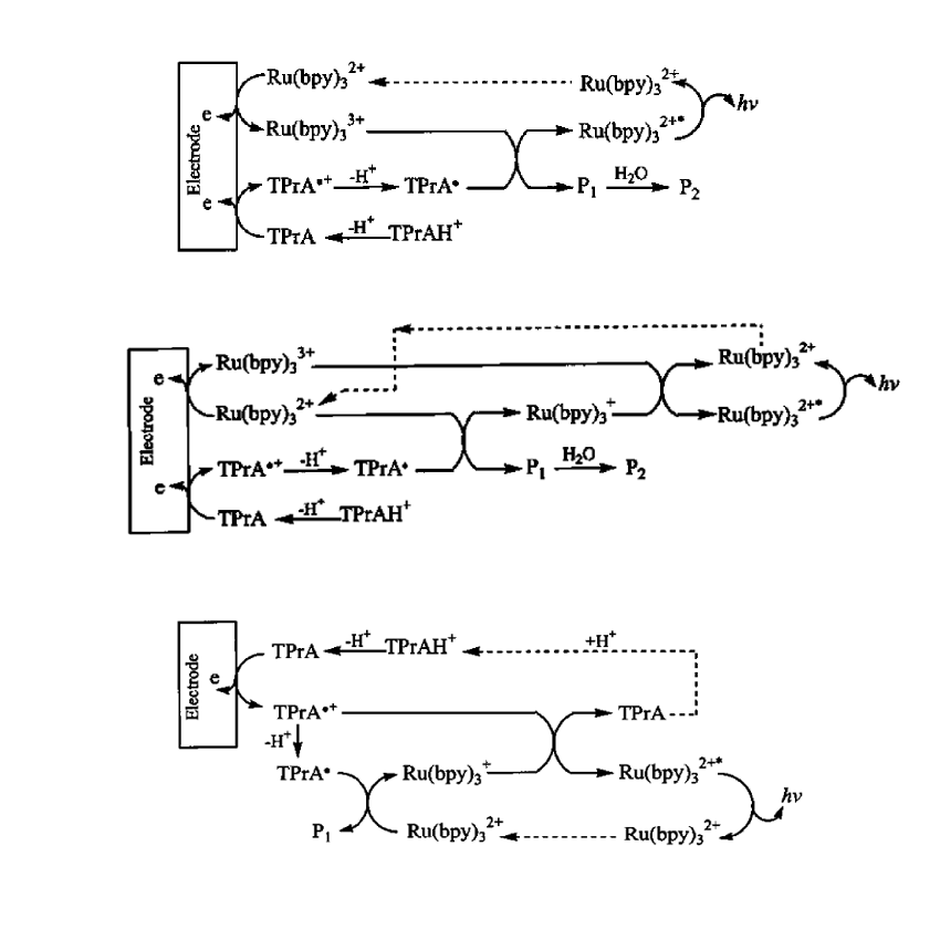 還原氧化型ECL的三種反應過(guò)程