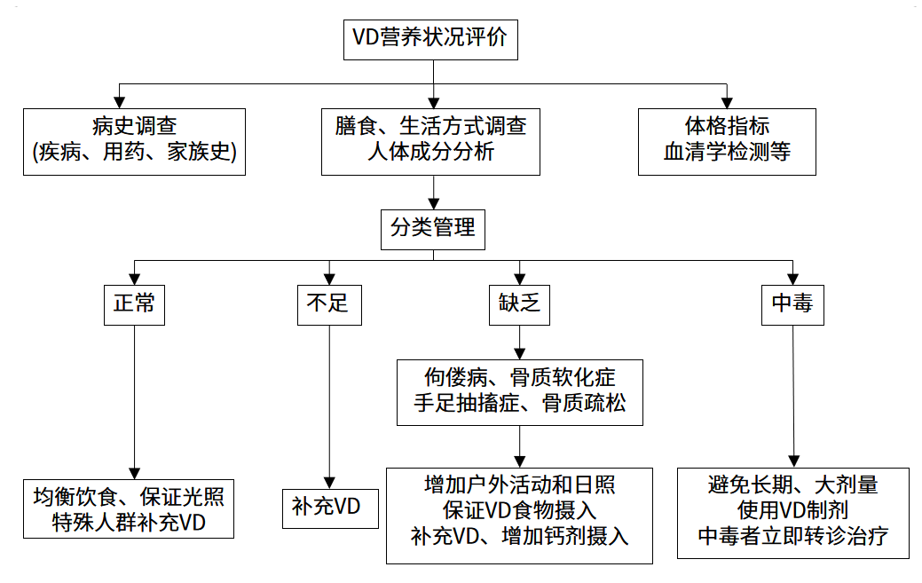 維生素D營(yíng)養狀況人群篩查的實(shí)施流程