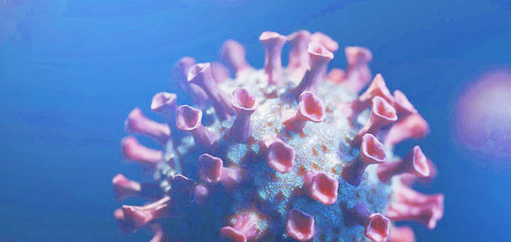 HBP高親和兔單抗，助力IVD備戰COVID-19重癥高峰