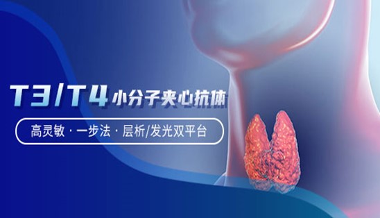 【小分子夾心法】甲功T3/T4，高靈敏&一步法